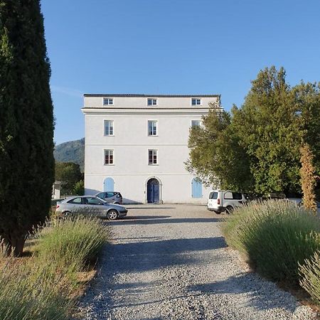 코테 Casa Guelfucci B&B 외부 사진
