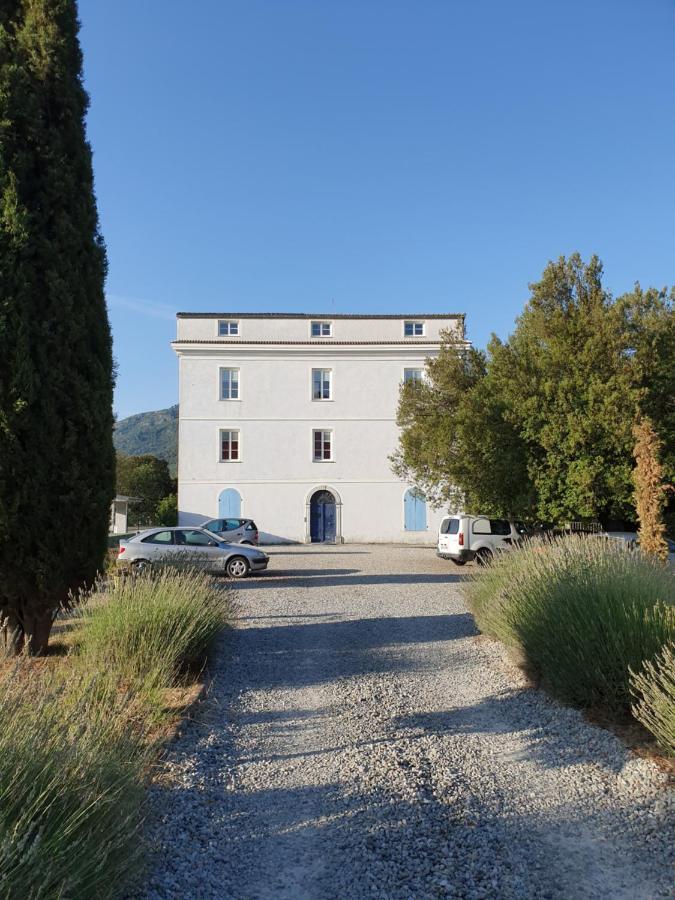 코테 Casa Guelfucci B&B 외부 사진