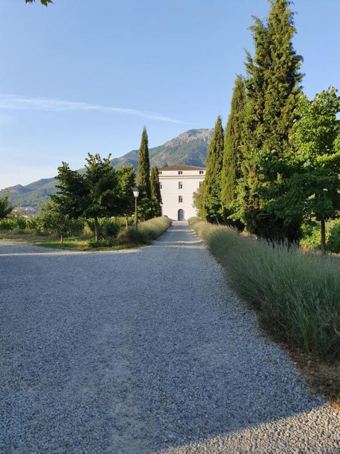 코테 Casa Guelfucci B&B 외부 사진